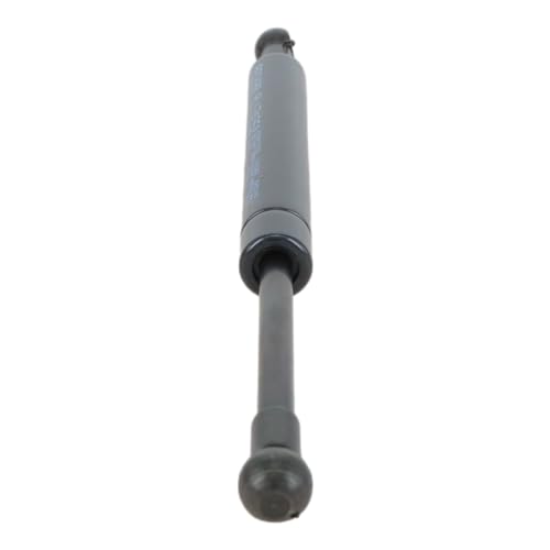 Zbox ZB7752112 Strut